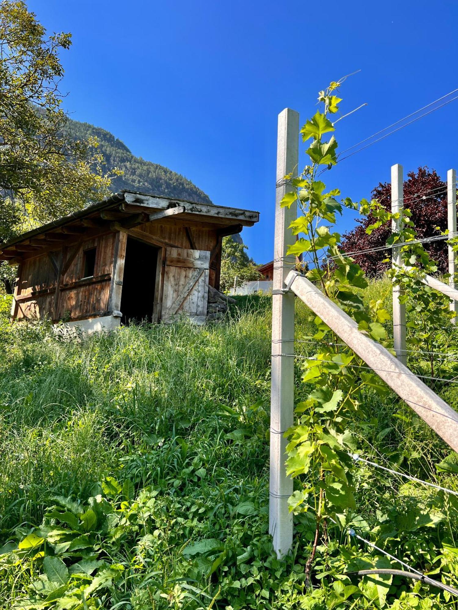 Gasserhof Барбьяно Экстерьер фото